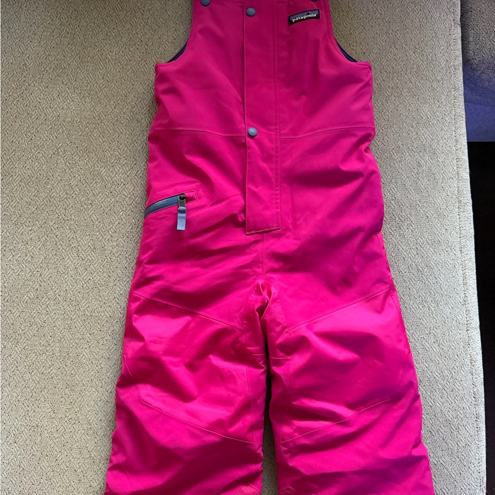 Patagonia Fuchsia Snow Bib Overalls